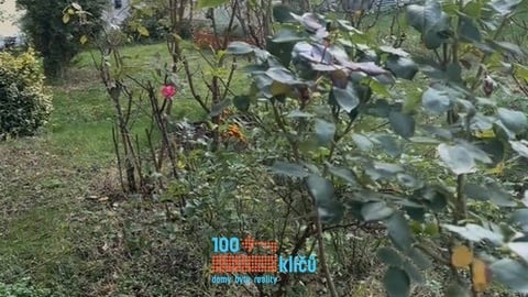 Pronájem bytu 1+kk 26 m², Praha - Holešovice