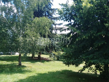 Prodej lesa 24.357 m² - Kouty u Třebíče