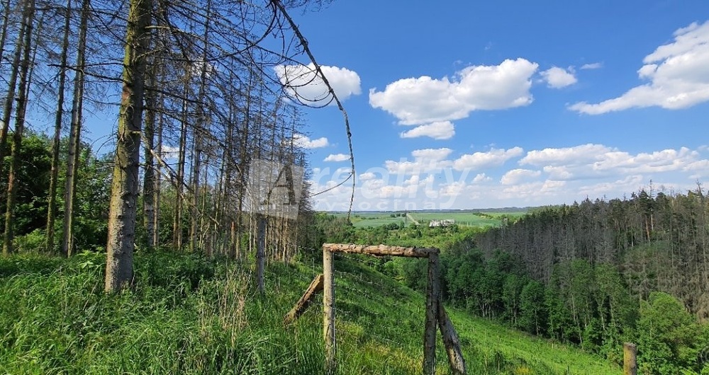 Prodej lesních pozemků - Kožichovice, okres Třebíč
