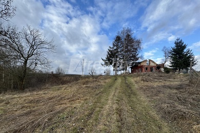 Prodej stavebního pozemku na samotě, Dolní Cerekev, Ev.č.: 01892