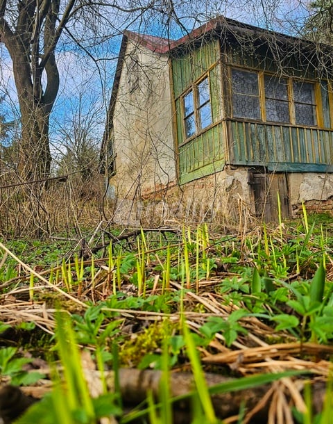 Prodej zahrady s chatou, Jihlava