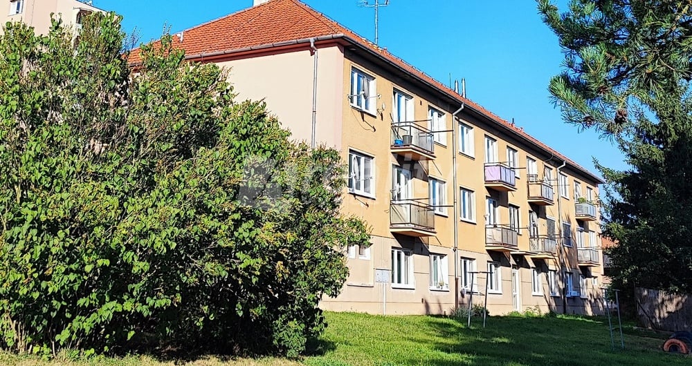 Pronájem bytu 2+1 s balkonem, Náměšť nad Oslavou, Petra Křičky