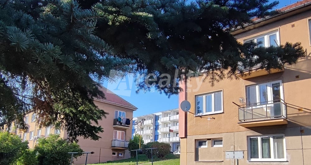 Pronájem bytu 2+1 s balkonem, Náměšť nad Oslavou, Petra Křičky