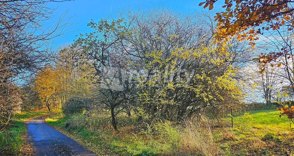 Prodej stavebního pozemku, Zbinohy