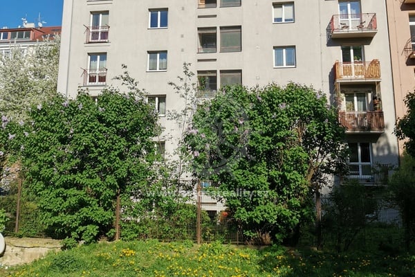 Pronájem prostorného bytu 2+1, 78 m² - Brno - Veveří, ulice Čápkova,  balkón