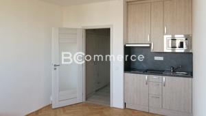 Pronájem, byt 1+kk, 24m², Brno - Lesná