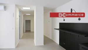 Pronájem kancelářské jednotky v centru města Brna, 133 m²