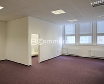 Pronájem kanceláří v Králově Poli