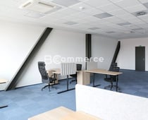 Pronájem kancelářského celku v Králově Poli 202m²