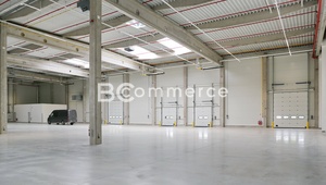 Pronájem skladu 2 988 m², Hrušovany u Brna
