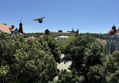 Prodej_cinzovni dum_Dejvice_Praha_Boutiq Real Estate_5