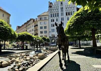 Prodej_cinzovni dum_Dejvice_Praha_Boutiq Real Estate_16