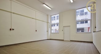 Výdejní a skladové prostory 42 m2 v Řečkovicích