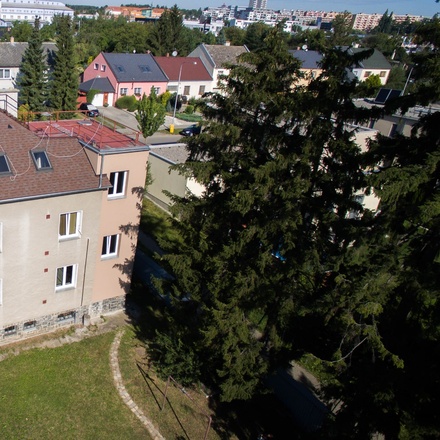 Prodej, Rodinné domy, 817m² - Olomouc - Slavonín