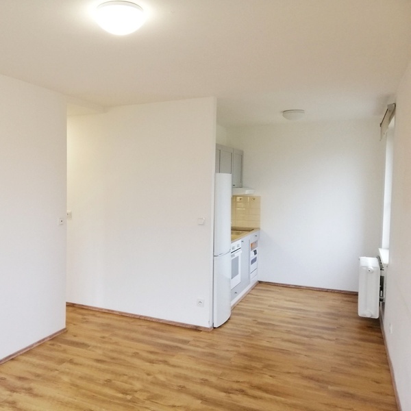 Krásný slunný tichý byt 2+kk / 40 m2 po rekonstrukci