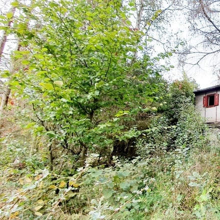 Prodej chaty v OV pozemek 329m2  Kanicích u Brna
