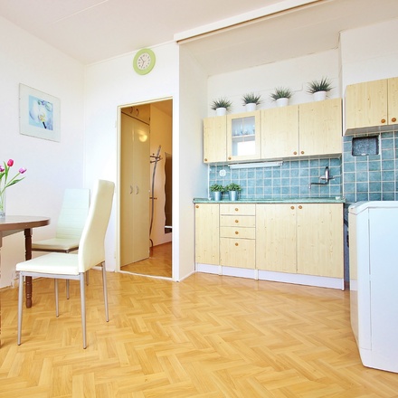 Pronájem bytu 1+1, 36 m² - Brno - Královo Pole