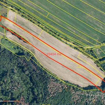 Prodej, Zemědělské půdy, 21921 m² - Lesní Hluboké