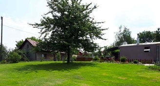Prodej pozemku - zahrady  s celoročně obyvatelným mobilním domkem - Dětmarovice 3821 m2