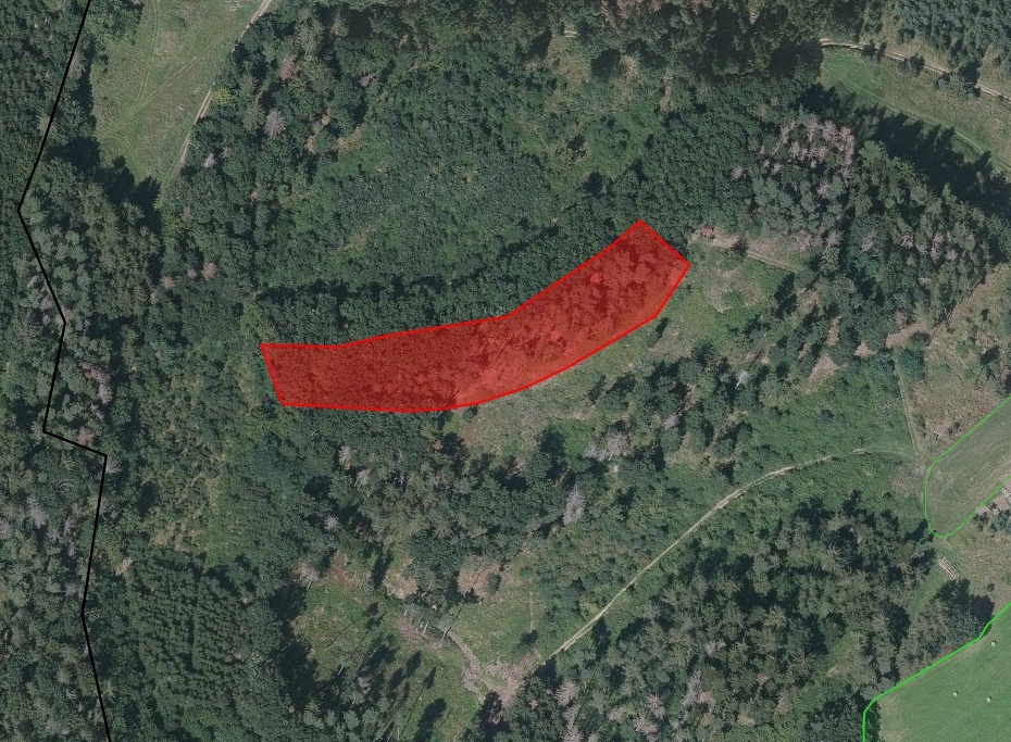 Jamné u Tišnova, lesní pozemek, 4 247 m2