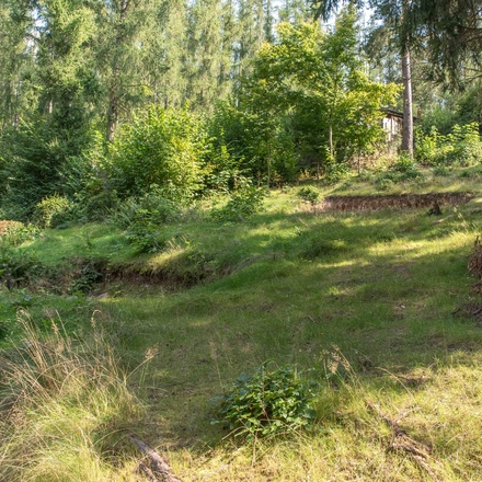 Prodej, Pozemky - trvalý travní porost, 1107 m² - Chyňava - Podkozí