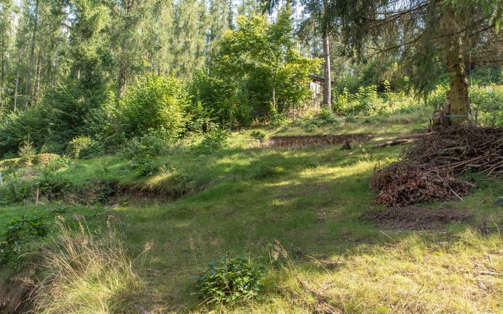 Prodej, Pozemky - trvalý travní porost, 1107 m² - Chyňava - Podkozí