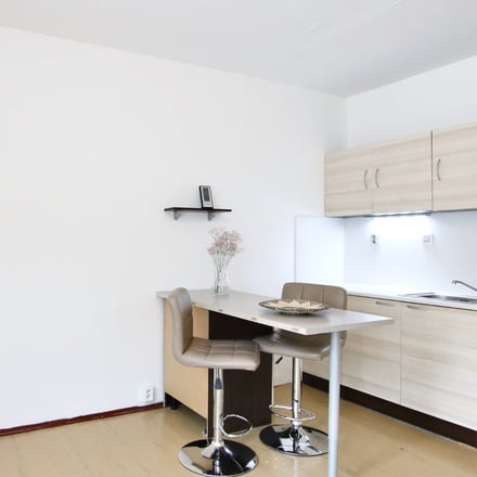 Pronájem bytu 1+kk,  31 m² - Brno - Líšeň