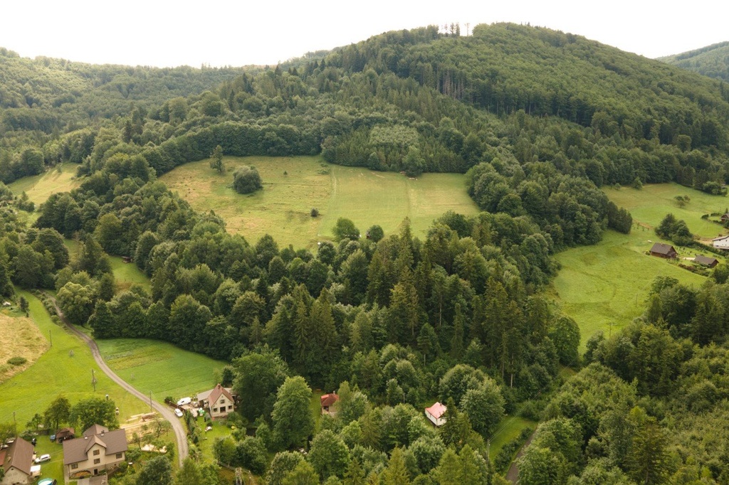 Prodej vzrostlého lesa o rozloze 30 906 m2 v obci