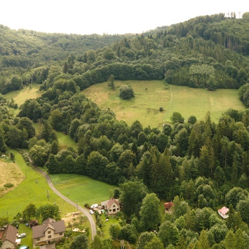 Prodej vzrostlého lesa o rozloze 30 906 m2 v obci Nýdek.