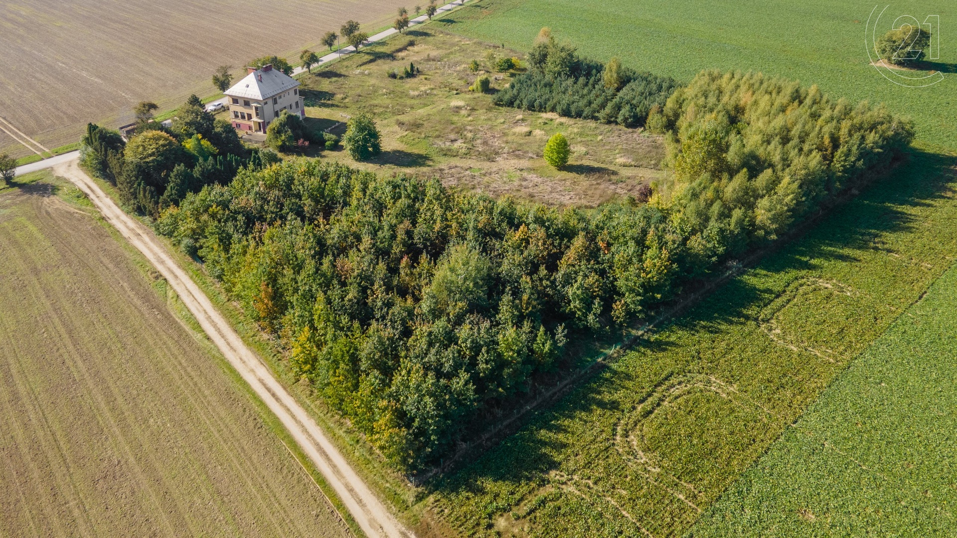 Prodej stavebního pozemku číslo 16 (parc. číslo 340/29) , 1126 m² - Uničov - Renoty