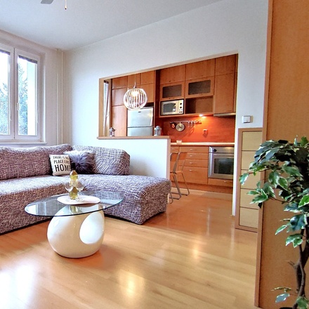 Podnájem bytu 1+kk, 33m², Rooseveltova, Olomouc