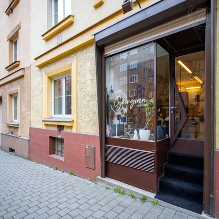 Nebytový prostor, ul. Kotlářská, Brno-Veveří, CP 18 m2, prostorný vnitroblok