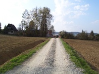 Prodej pozemku v lokalitě Moravské Knínice, okres Brno-venkov | Realitní kancelář Brno