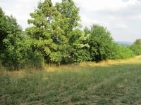 Prodej pozemku v lokalitě Lysice, okres Blansko | Realitní kancelář Blansko