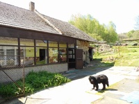Prodej domu v lokalitě Janůvky, okres Svitavy | Realitní kancelář Blansko