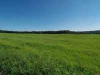 Prodej pozemku v lokalitě Křtiny, okres Blansko | Realitní kancelář Blansko