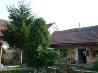 Prodej domu v lokalitě Bohaté Málkovice, okres Vyškov | Realitní kancelář Vyškov