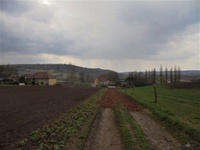 Prodej pozemku v lokalitě Jabloňany, okres Blansko | Realitní kancelář Blansko