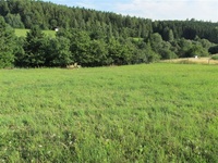 Prodej pozemku v lokalitě Okrouhlá, okres Blansko | Realitní kancelář Blansko