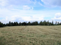 Prodej pozemku v lokalitě Nýrov, okres Blansko | Realitní kancelář Blansko
