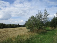 Prodej pozemku v lokalitě Nýrov, okres Blansko | Realitní kancelář Blansko