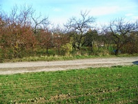 Prodej pozemku v lokalitě Valtice, okres Břeclav | Realitní kancelář Břeclav
