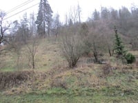 Prodej pozemku v lokalitě Svojanov, okres Svitavy | Realitní kancelář Blansko