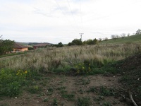 Prodej pozemku v lokalitě Čučice, okres Brno-venkov | Realitní kancelář Brno