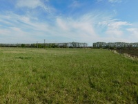 Prodej pozemku v lokalitě Hrušovany nad Jevišovkou, okres Znojmo | Realitní kancelář Znojmo