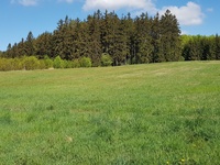 Prodej pozemku v lokalitě Horní Štěpánov, okres Prostějov | Realitní kancelář Blansko