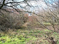 Prodej pozemku v lokalitě Syrovice, okres Brno-venkov | Realitní kancelář Brno