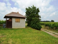 Prodej ostatní nemovitosti v lokalitě Josefov, okres Hodonín | Realitní kancelář Břeclav