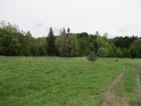 Prodej pozemku v lokalitě Velenov, okres Blansko | Realitní kancelář Blansko