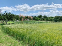 Prodej pozemku v lokalitě Ořechov, okres Brno-venkov | Realitní kancelář Brno